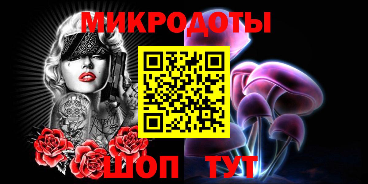 Псилоцибиновые грибы Psilocybine cubensis Гатчина