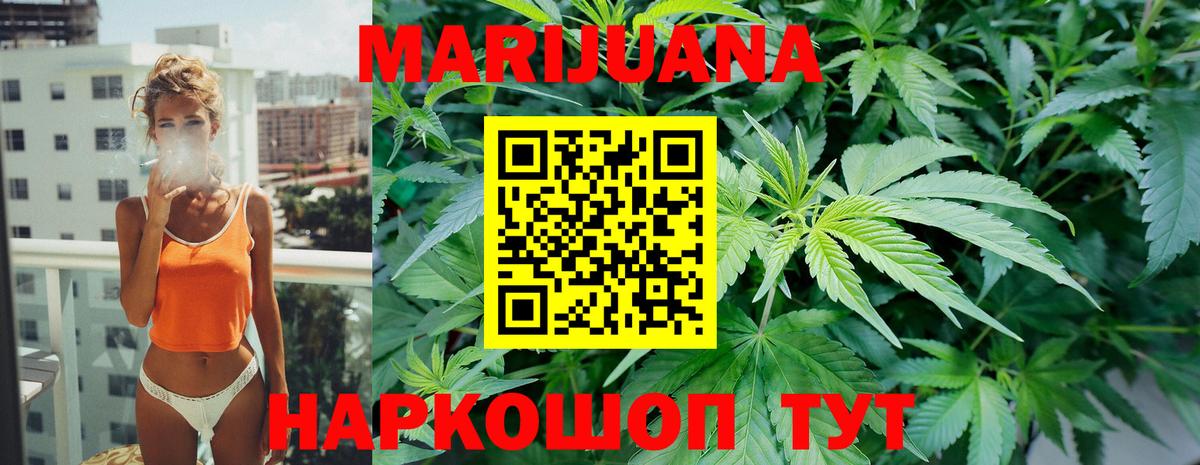 Конопля конопля Гатчина
